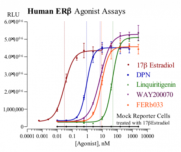 ERbeta (human) Reporter Assay Kit