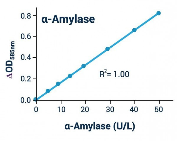 Alpha-Amylase Assay Kit