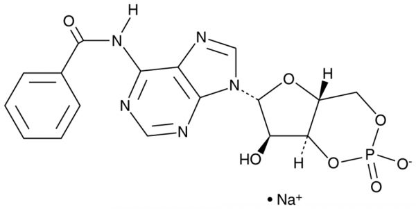 N6-benzoyl-Cyclic AMP (sodium salt)