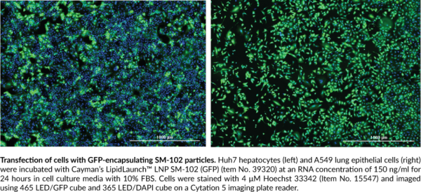 LipidLaunch(TM) SM-102 LNP (GFP)