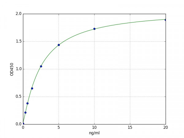 Human S100A16 ELISA Kit