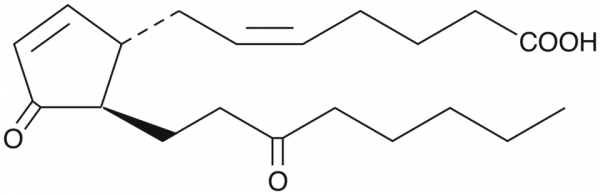 13,14-dihydro-15-keto Prostaglandin J2