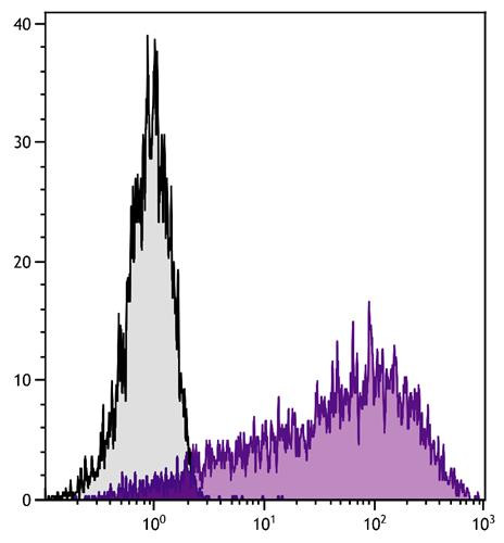 Anti-Ly6A/E (APC), clone D7