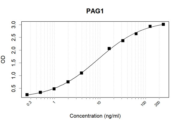Anti-Human PAG1 Antibody Pair