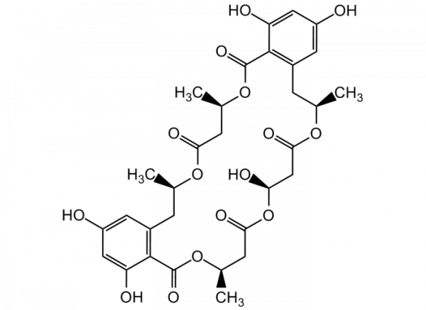 NG 011