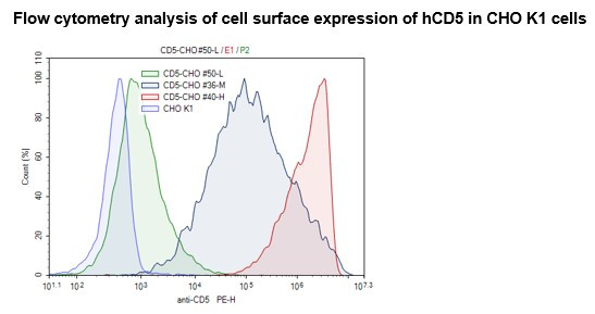 CD5 - CHO K1 Recombinant Cell Line (Medium Expression)