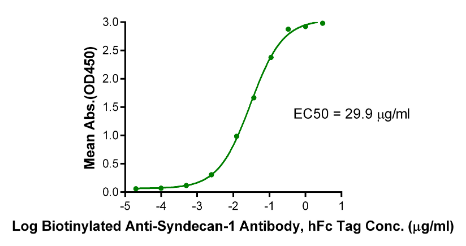 Syndecan-1 hFc Chimera, Human