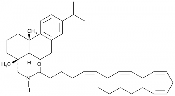 Arachidonic Acid Leelamide