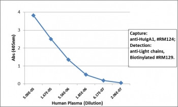 Anti-Human IgA1, clone RM124