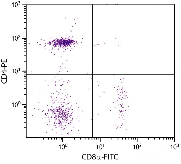 Anti-CD8a (FITC), clone EP72