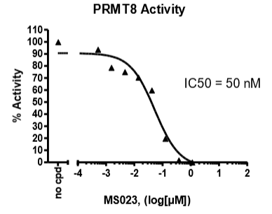 PRMT8 Homogeneous Assay Kit