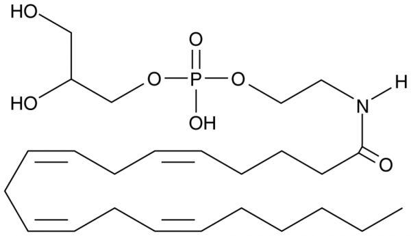 Glycerophospho-N-Arachidonoyl Ethanolamine