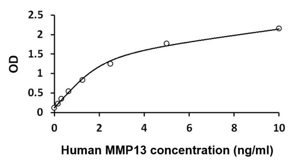 Human MMP13 ELISA Kit