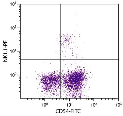Anti-CD54 / ICAM1 (FITC), clone YN1/1.7.4