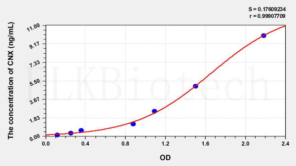 Human CNX (Calnexin) ELISA Kit