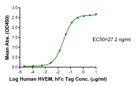 HVEM/TNFRSF14 hFc Chimera, Human