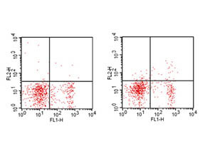 Anti-CD25, clone PC61, Phycoerythrin conjugated