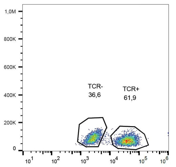 Anti-TCR alpha/beta, clone IP26 (PE)