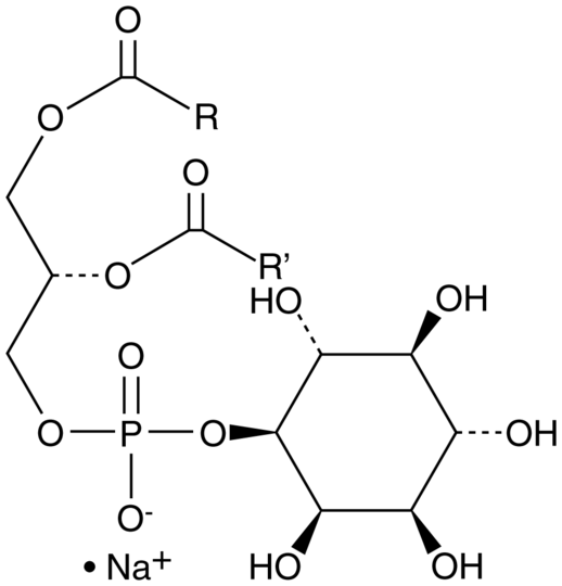 Phosphatidylinositol (plant, soy) (sodium salt)