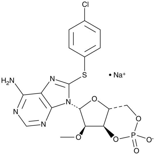 8-pCPT-2&#039;-O-methyl Cyclic AMP