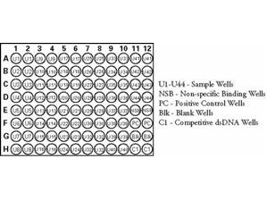 NF-kappaB (p65) Transcription Factor Assay Kit