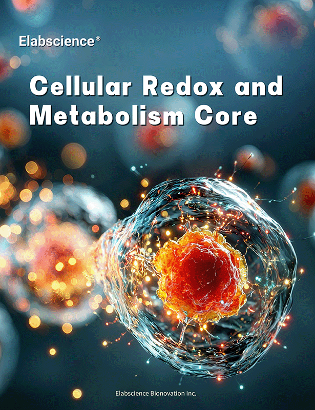 Cellular Redox and Metabolism Core