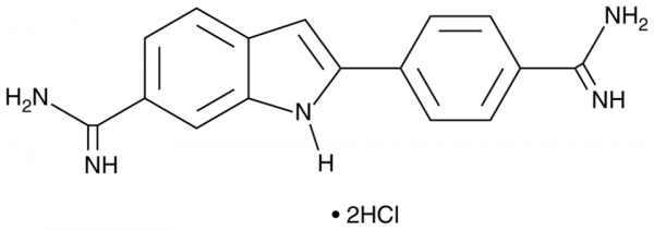 DAPI (hydrochloride)