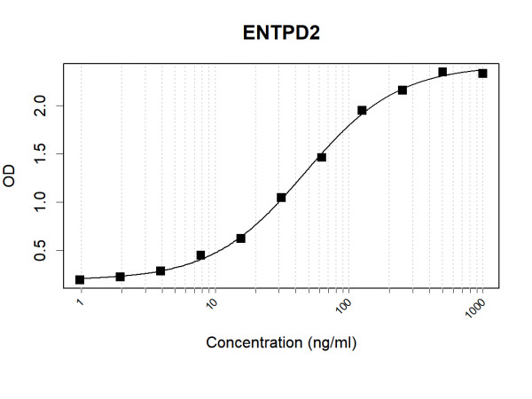 Anti-Human ENTPD2 Antibody Pair