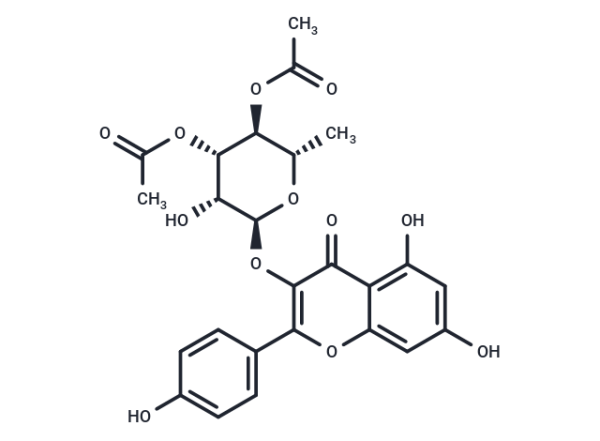 SL 0101-1