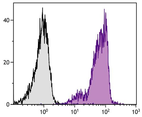 Anti-CD44 (Spectral Red), clone KM201