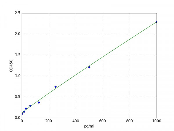 Rabbit MIP-1 beta / Macrophage Inflammatory Protein 1 Beta ELISA Kit