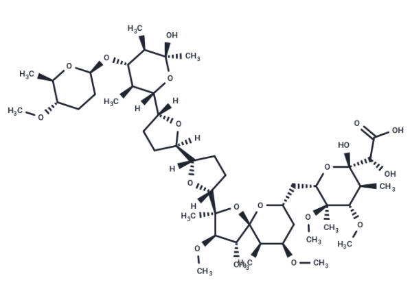 K 41