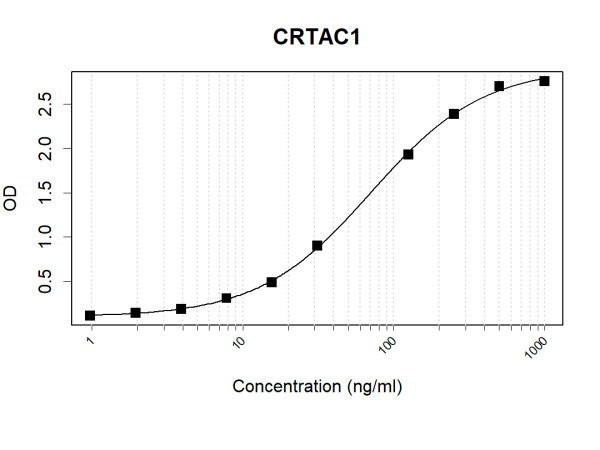 Anti-Human CRTAC1 Antibody Pair