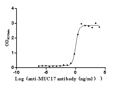 Anti-MUC17 Recombinant Monoclonal, clone 8D12