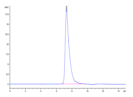 TNFRSF19 hFc Chimera, Human