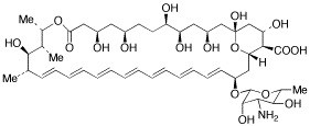 Amphotericin B (Fungizone) USP (Streptomyces)