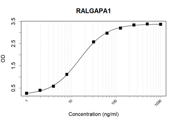 Anti-Human RALGAPA1 Antibody Pair