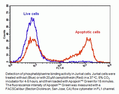 Cell Meter(TM) Phosphatidylserine Apoptosis Assay Kit *Optimized Green Fluorescence for Flow Cytomet