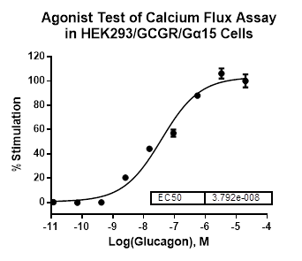 HEK293/GCGR/Galpha15 Stable Cell Line