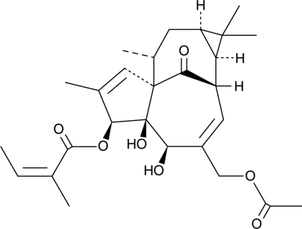 20-O-Acetylingenol-3-angelate