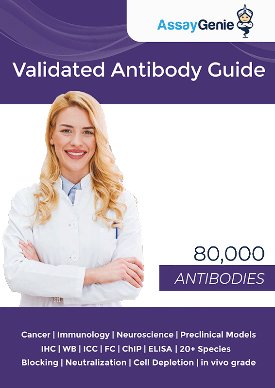 Assay Genie Validated Antibody Guide