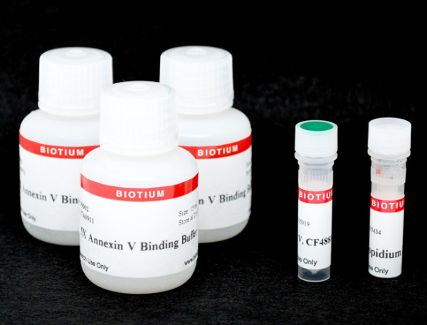 CF(R)488A and PI Apoptosis Assay Kit