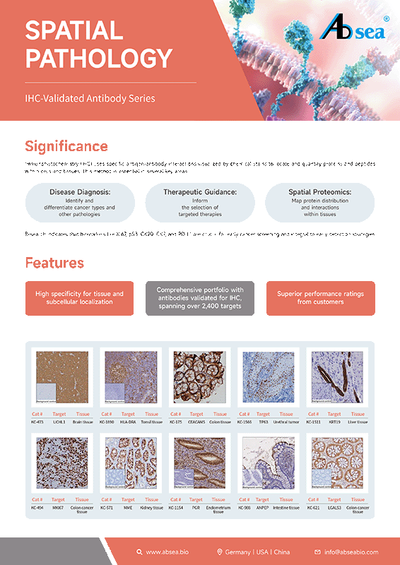 IHC-Validated Antibody Series