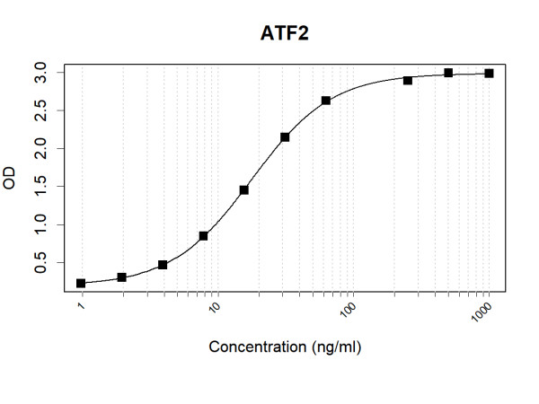 Anti-Human ATF2 Antibody Pair