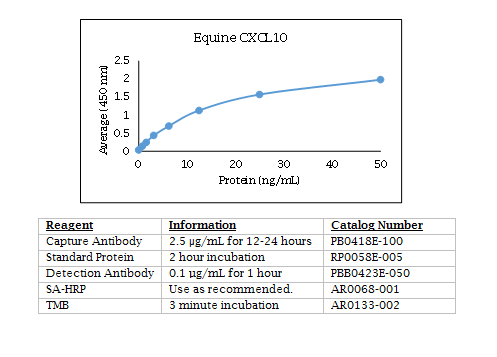 Anti-CXCL10 (IP-10) (equine)