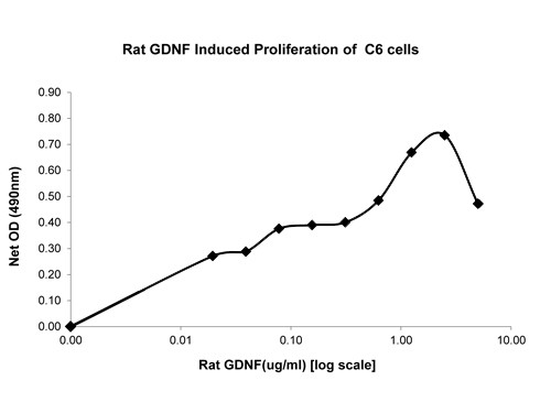 Glial Derived Neurotrophic Factor