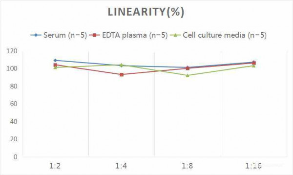 Rat IL-1beta (Interleukin 1 Beta) CLIA Kit