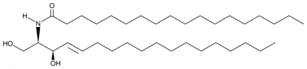 C18 D-threo Ceramide (d18:1/18:0)