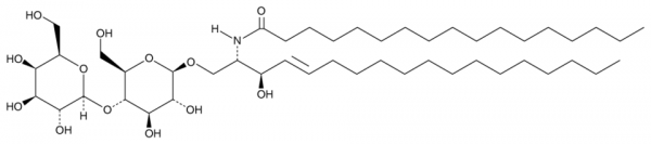 C17 Lactosylceramide (d18:1/17:0)