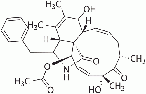 Cytochalasin C